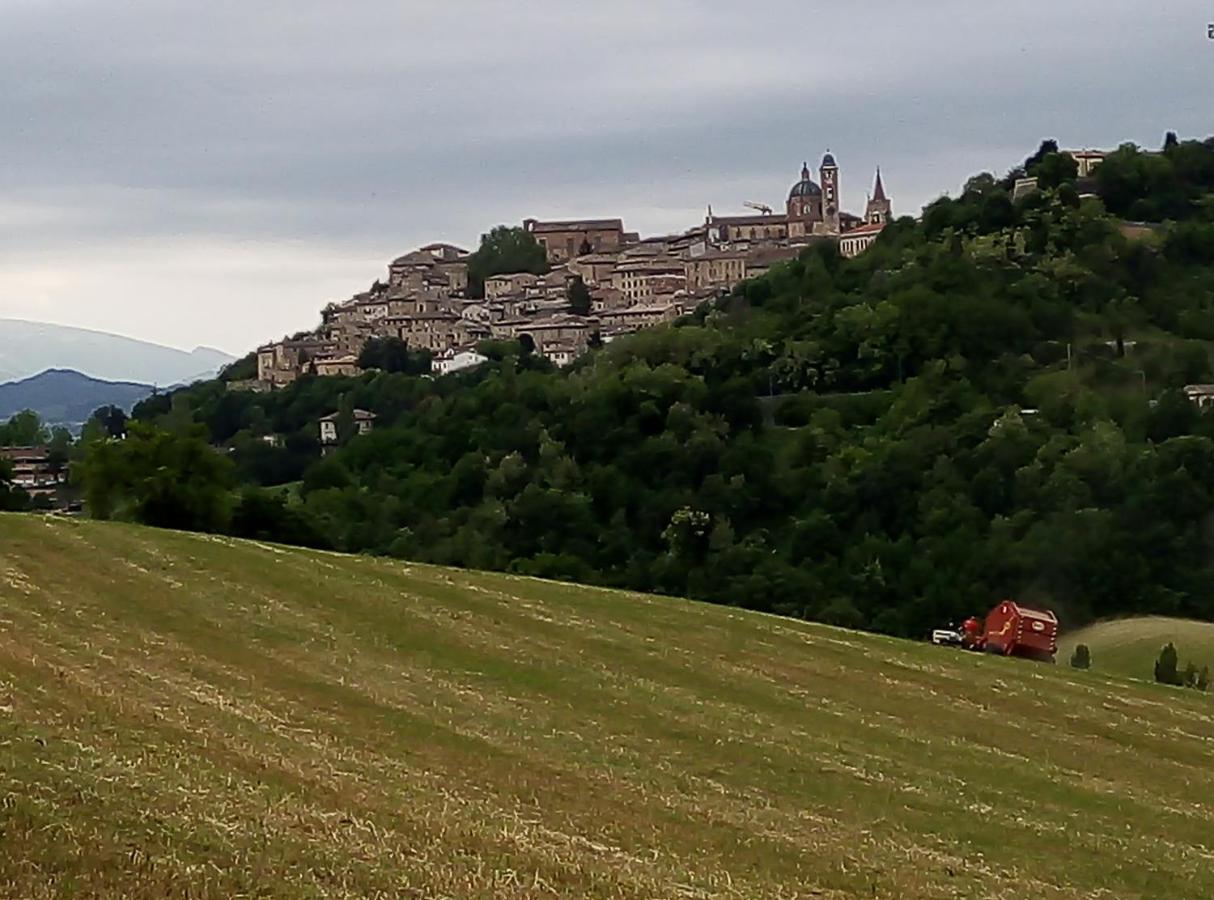 B&B Il Monchetto Urbino Zewnętrze zdjęcie